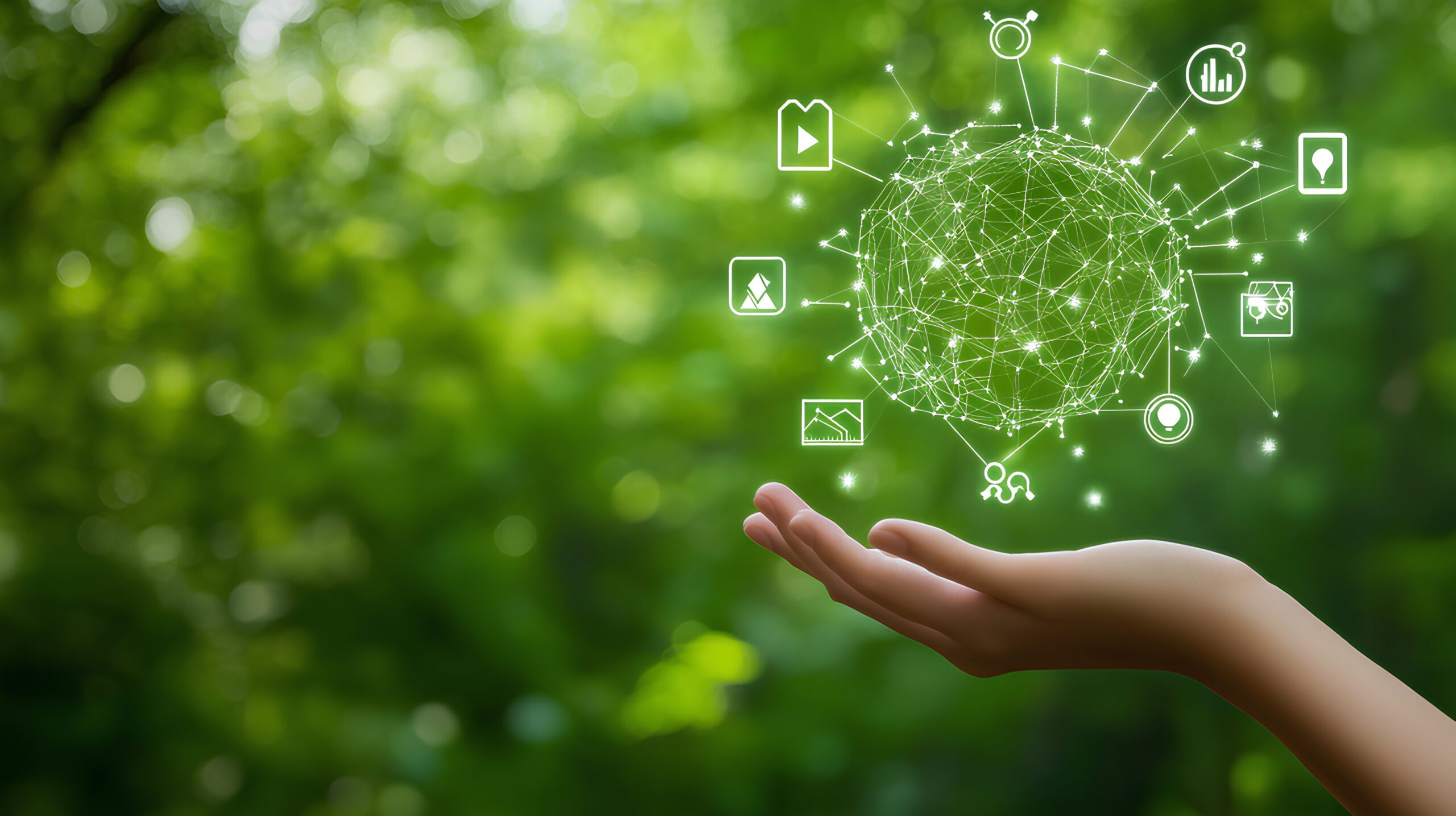 Data-Driven Insights for a Sustainable Future