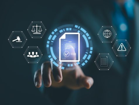 Government And Public Sector Innovation