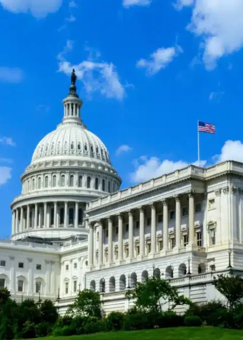 Government Services Government Services