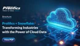 Prolifics Snowflake-01