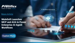 MuleSoft MCP Support